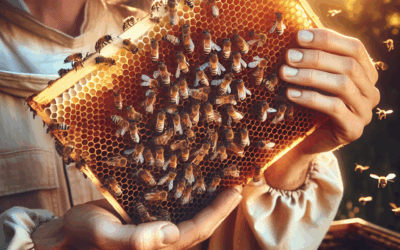 Humane Bee Control: When and How to Remove Bees Safely