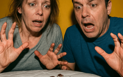 A Family’s Journey with an Indianapolis Bed Bug Exterminator