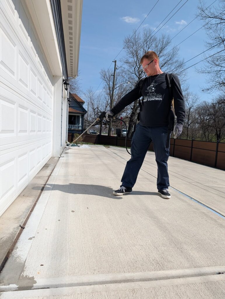 Person spraying pesticide on driveway