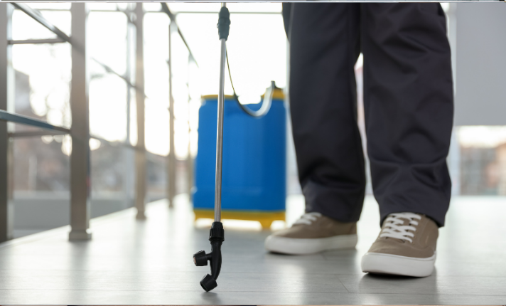 pest control in carmel