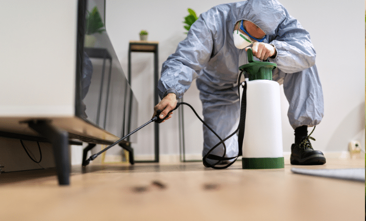 pest control in carmel