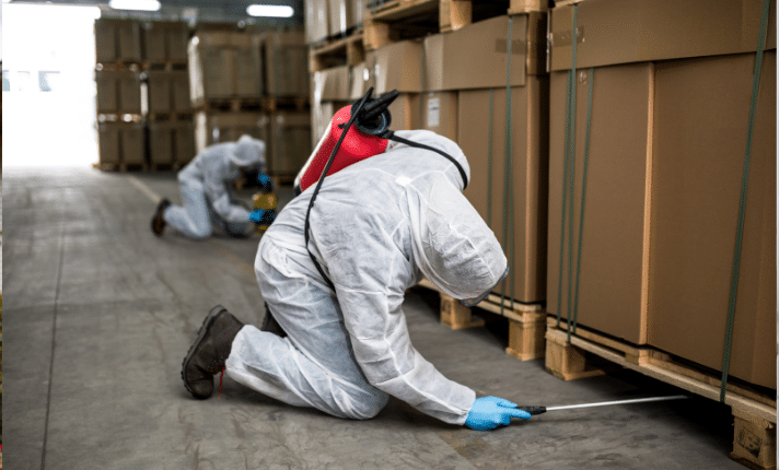 scorpio pest control in carmel