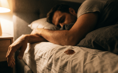 Find Fast Bed Bug Treatment in Indianapolis: Why “One-Time” Fixes Fail
