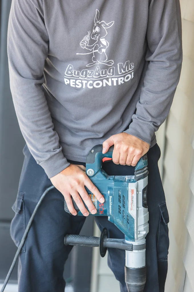 How to Spot Termite Damage Before It Destroys Your Home
