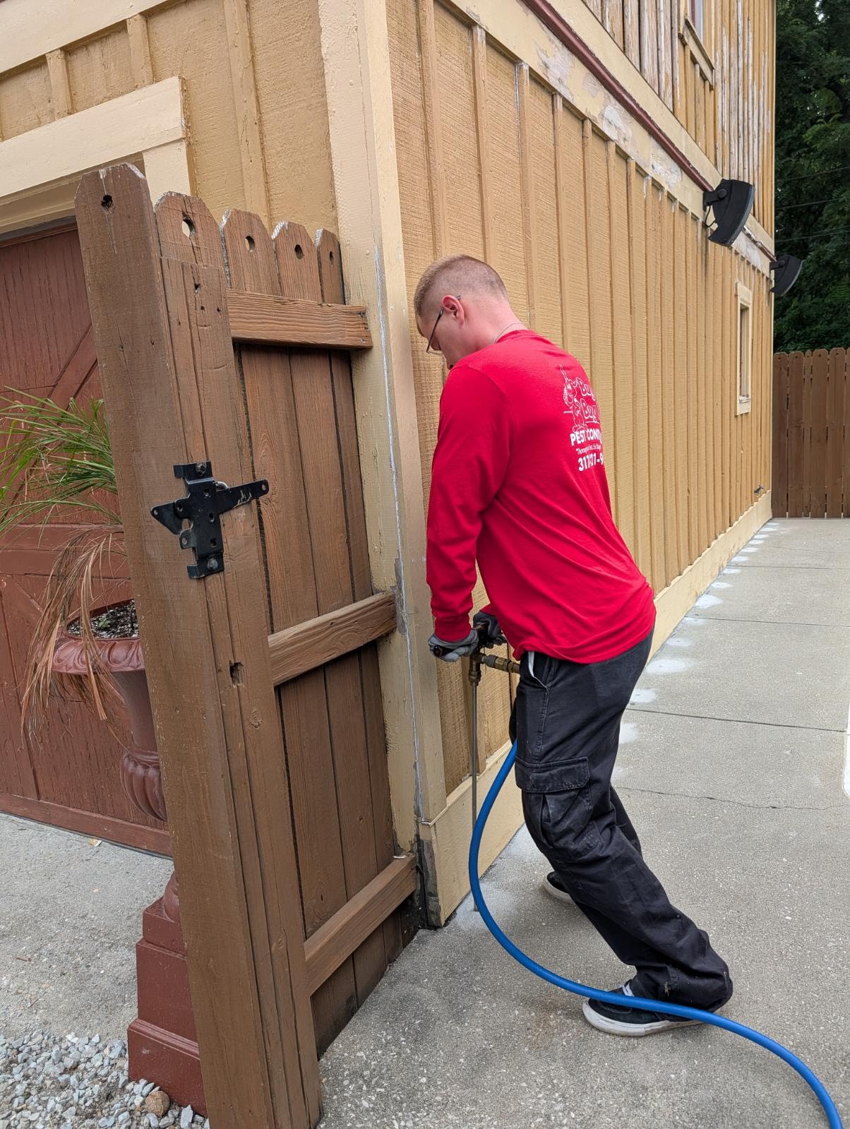 termite control and termite treatment