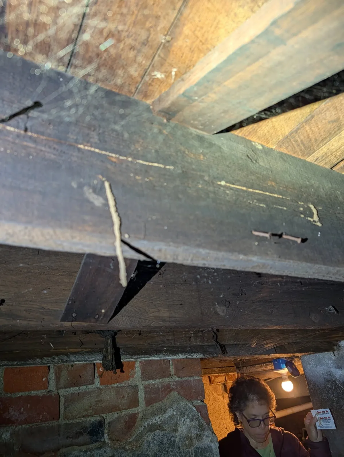 Bugz Bug Me licensed termite inspector examining wooden sill plate and floor joists in Indianapolis crawlspace