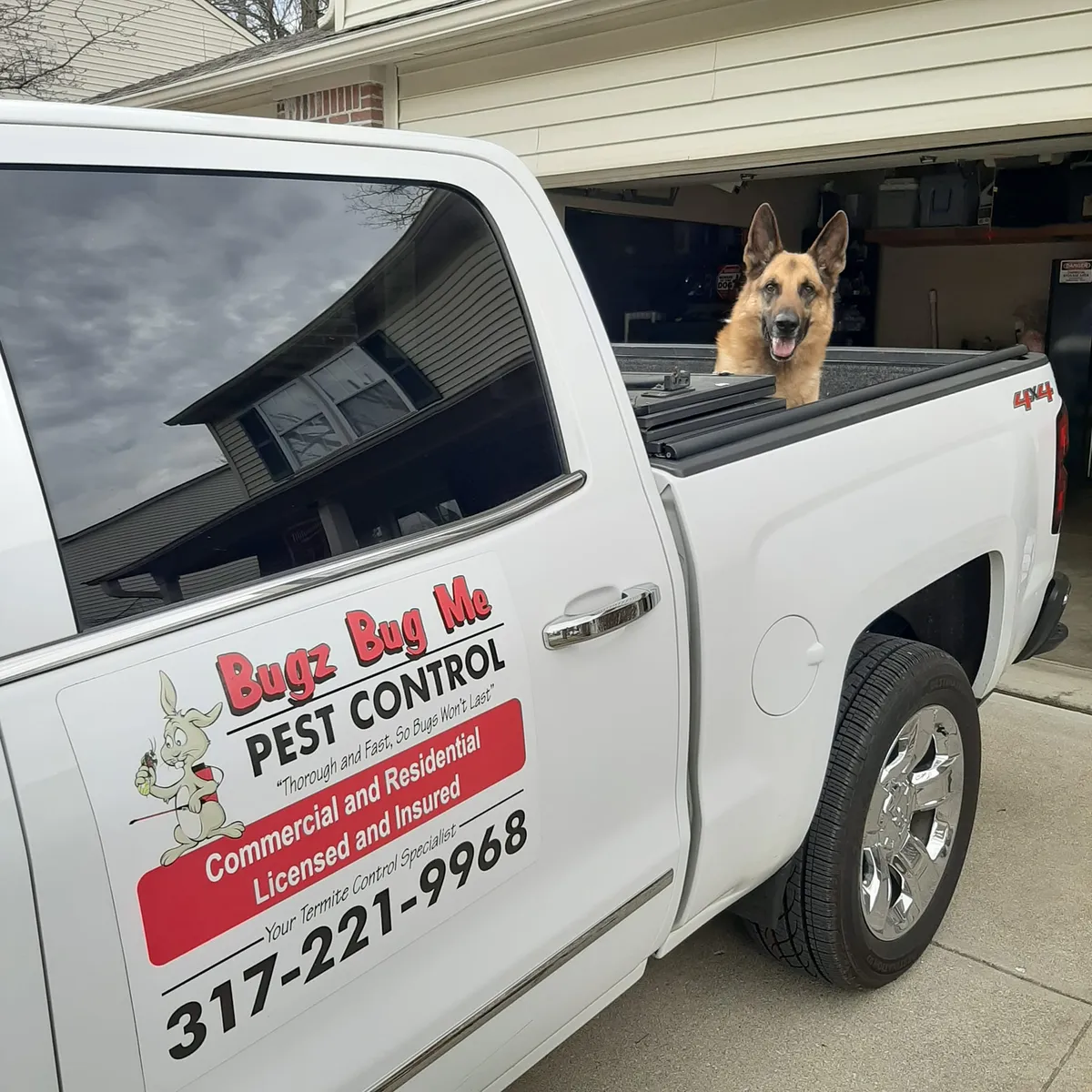 Bugz Bug Me branded pest control truck with Mac the dog